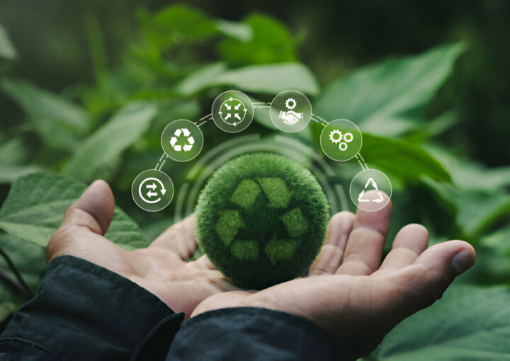 biodegradable plastic products